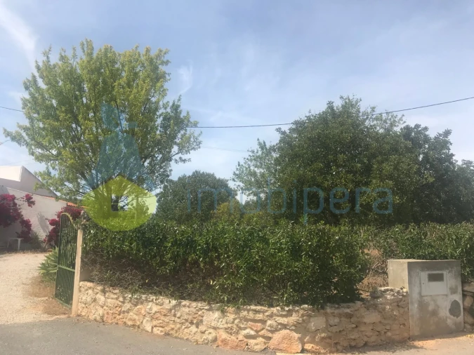 Quinta T4 para Venda em Algoz e Tunes Foto 34