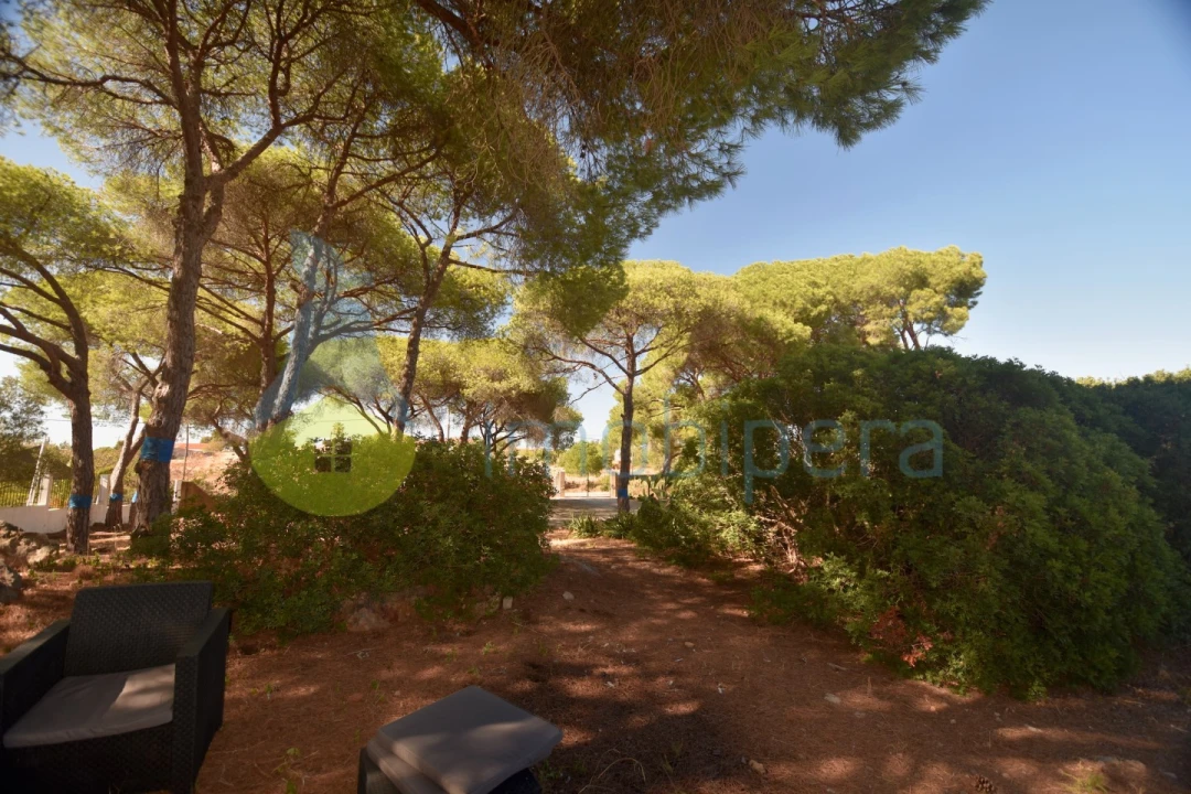 Moradia T3 para Venda em Lagoa e Carvoeiro Foto 29