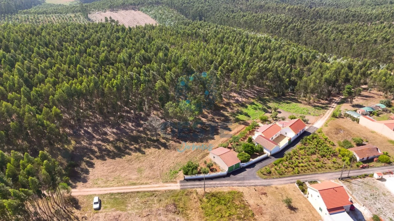 Terreno para Venda em Bombarral e Vale Covo Foto 12