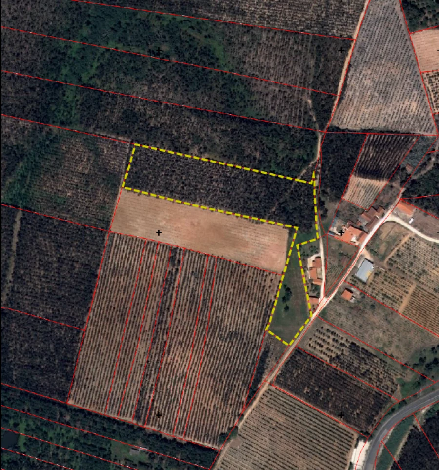 Terreno para Venda em Bombarral e Vale Covo Foto 19