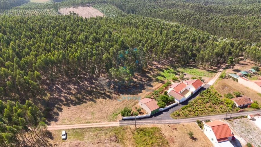 Terreno para Venda em Bombarral e Vale Covo Foto 12