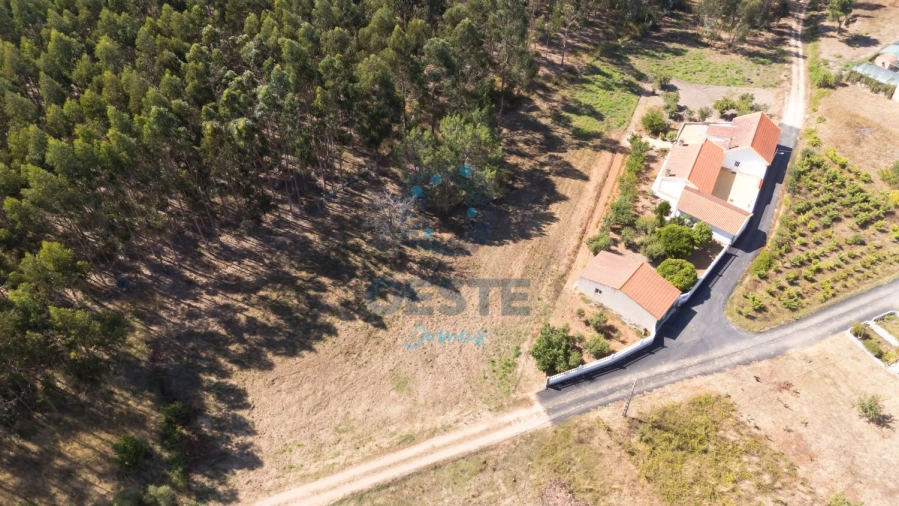 Terreno para Venda em Bombarral e Vale Covo Foto 10