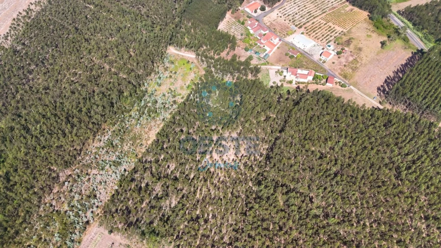 Terreno para Venda em Bombarral e Vale Covo Foto 6