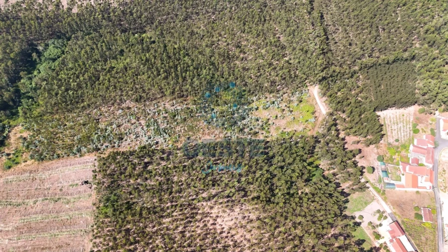 Terreno para Venda em Bombarral e Vale Covo Foto 8