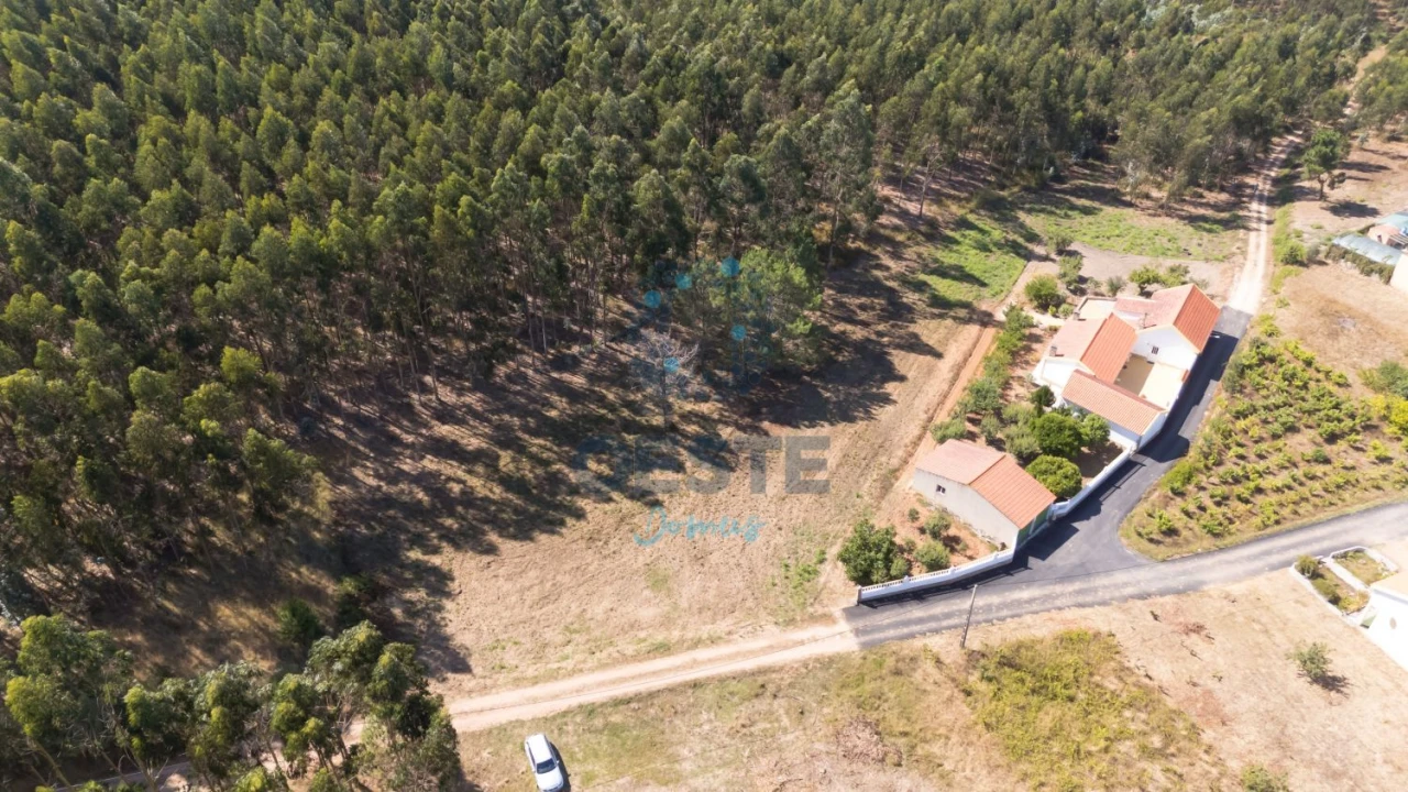 Terreno para Venda em Bombarral e Vale Covo Foto 11