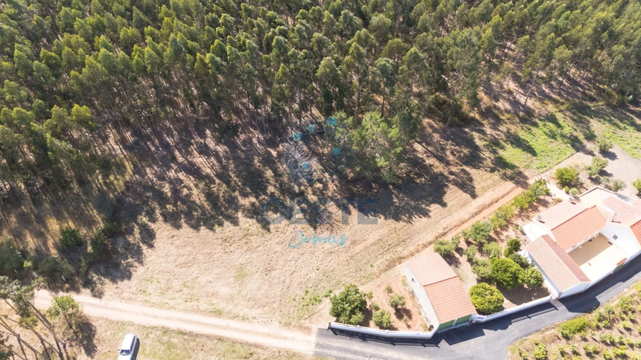 Terreno para Venda em Bombarral e Vale Covo Foto 9