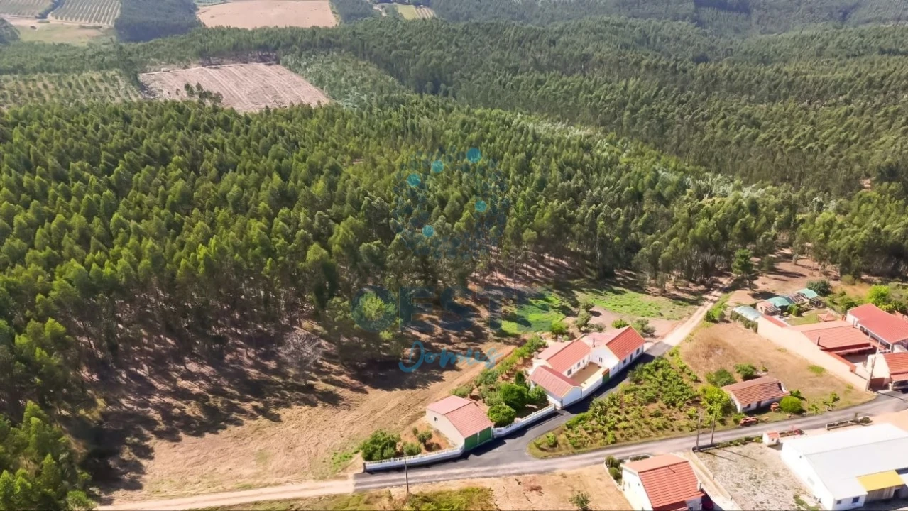 Terreno para Venda em Bombarral e Vale Covo Foto 14