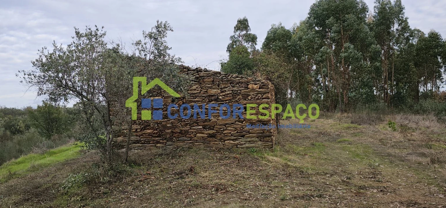 Terreno para Venda em Escalos de Baixo e Mata Foto 5