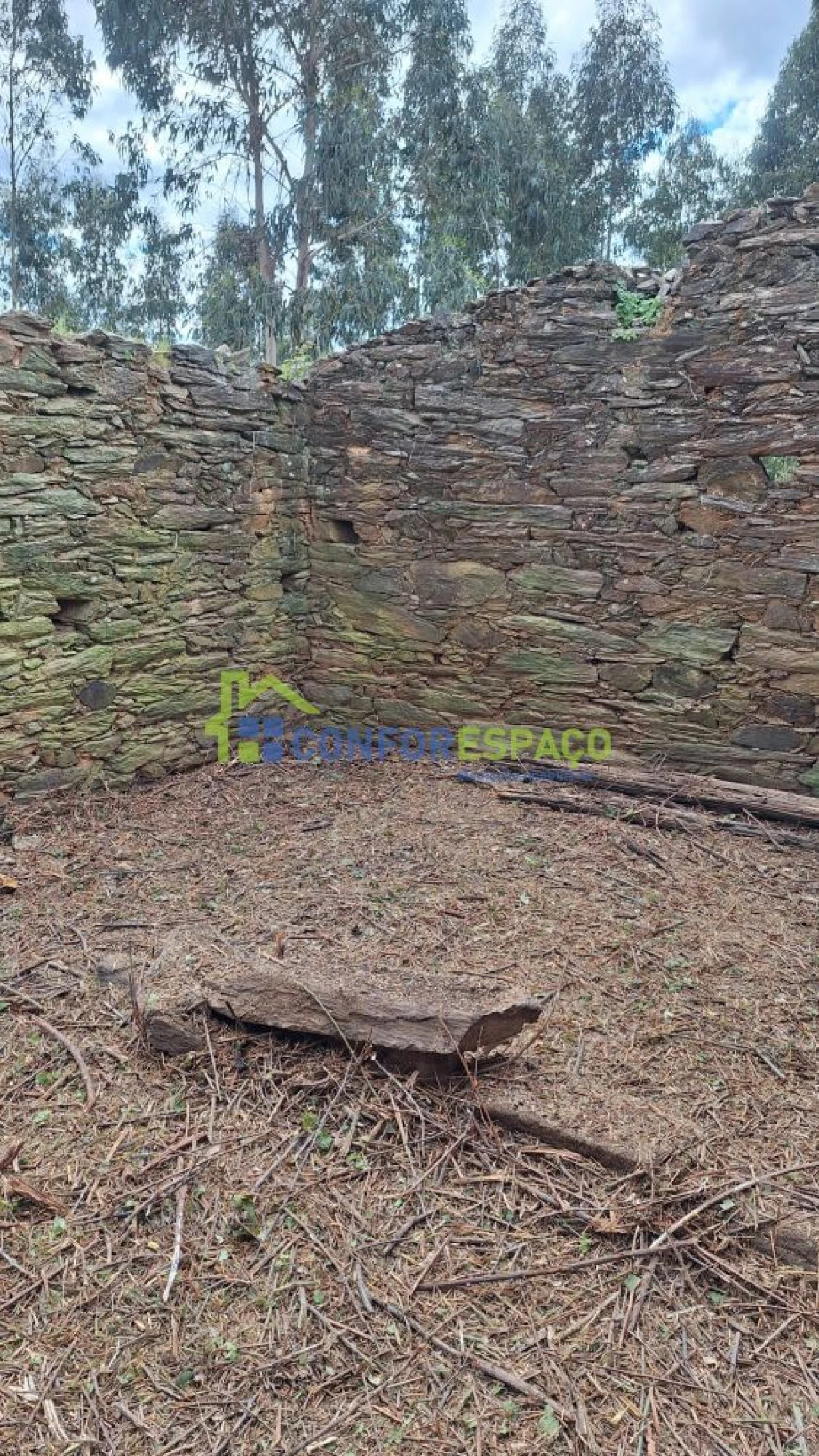 Terreno para Venda em Escalos de Baixo e Mata Foto 31