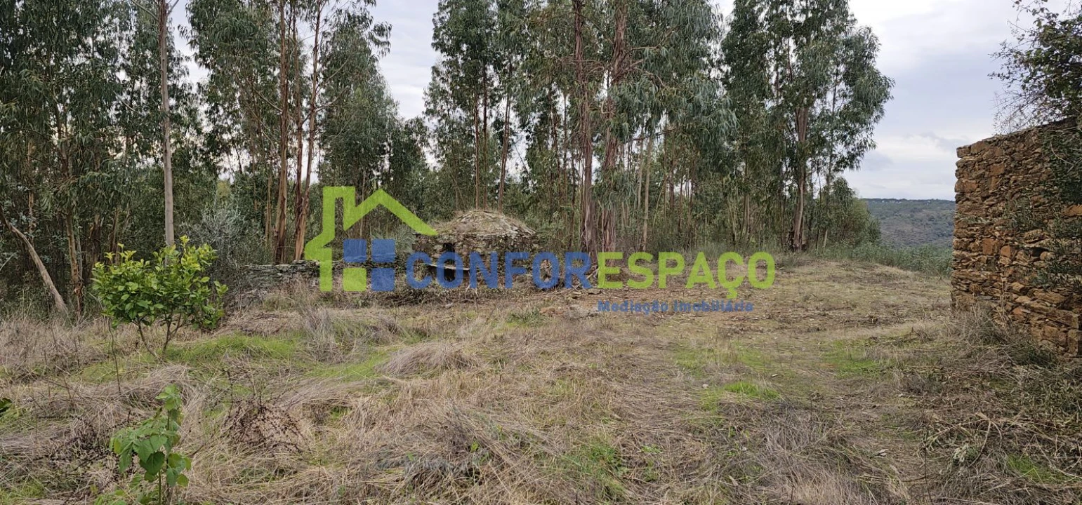 Terreno para Venda em Escalos de Baixo e Mata Foto 2