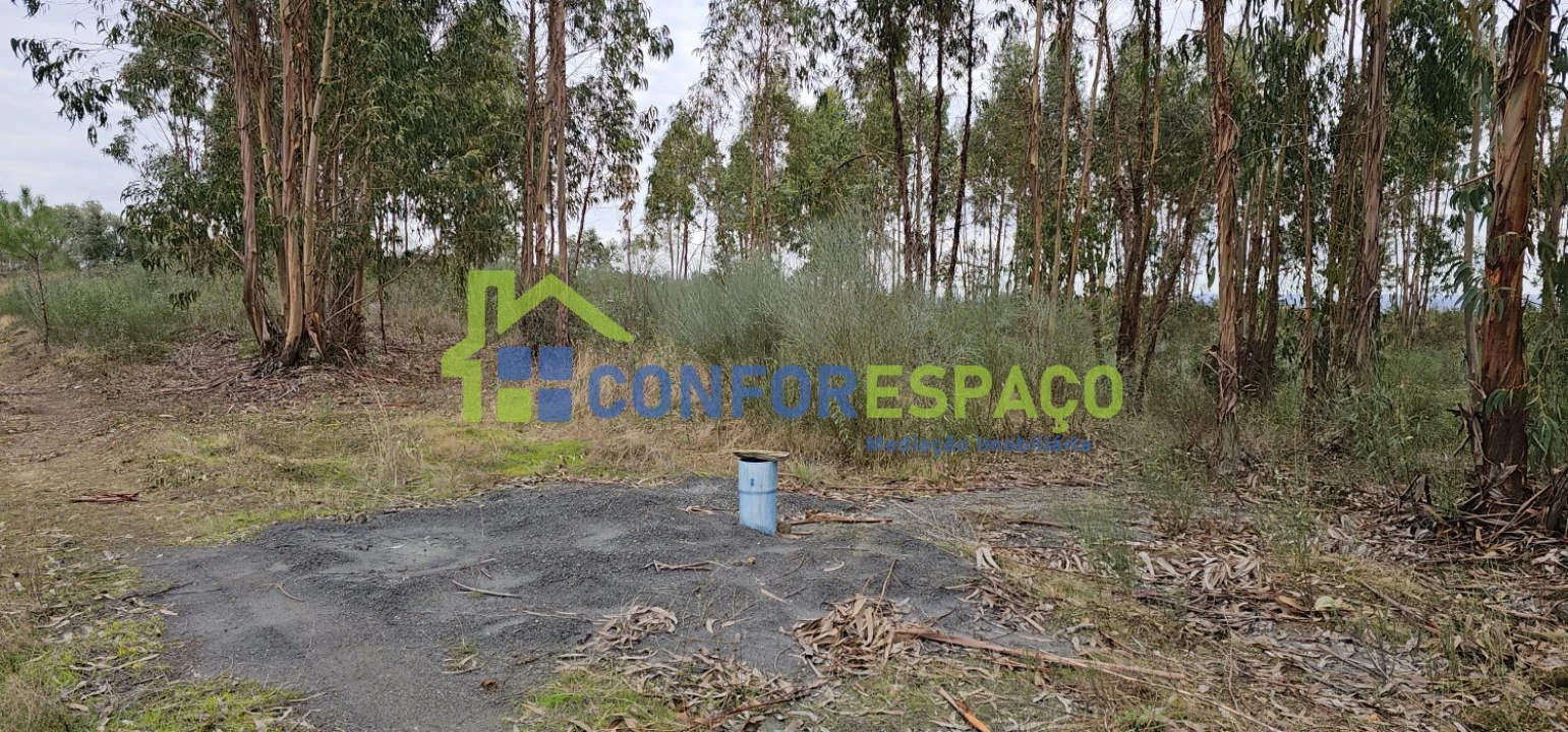 Terreno para Venda em Escalos de Baixo e Mata Foto 10