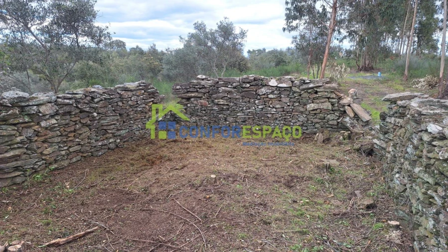 Terreno para Venda em Escalos de Baixo e Mata Foto 19