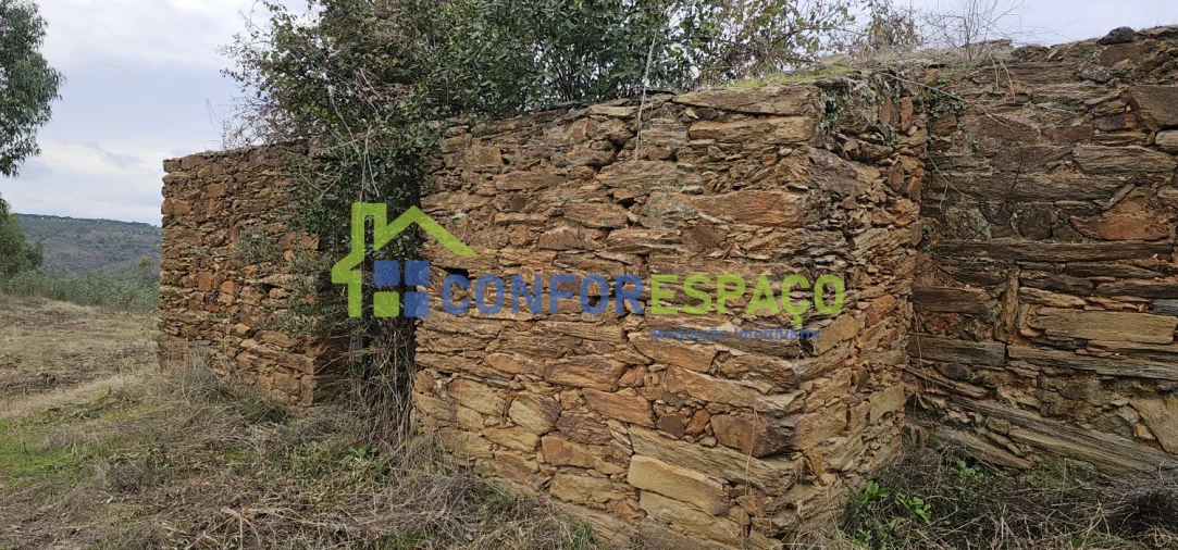 Terreno para Venda em Escalos de Baixo e Mata Foto 3