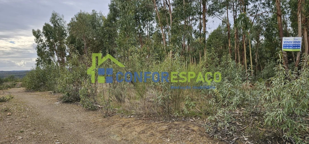 Terreno para Venda em Escalos de Baixo e Mata Foto 12