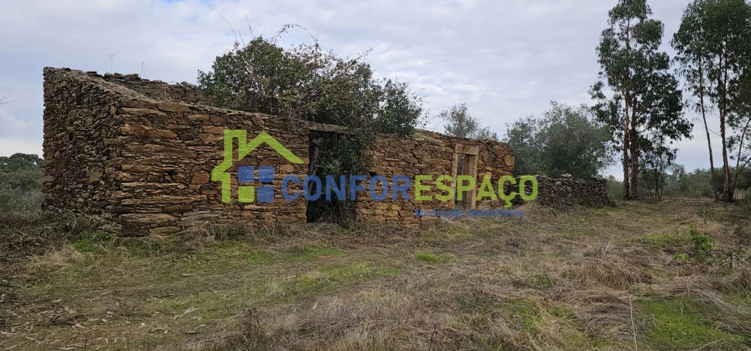 Terreno para Venda em Escalos de Baixo e Mata