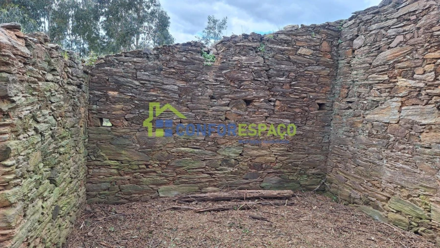 Terreno para Venda em Escalos de Baixo e Mata Foto 34