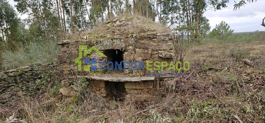 Terreno para Venda em Escalos de Baixo e Mata Foto 4