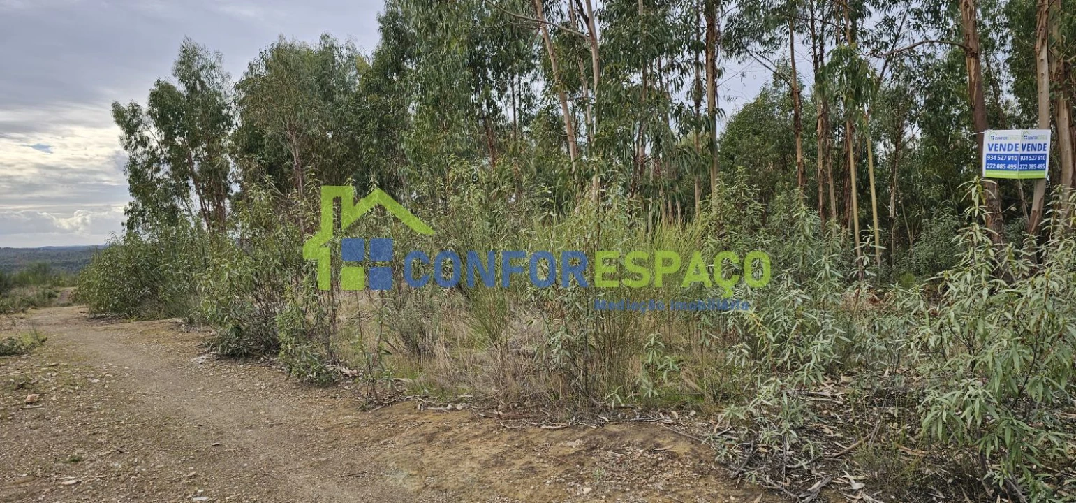 Terreno para Venda em Escalos de Baixo e Mata Foto 12