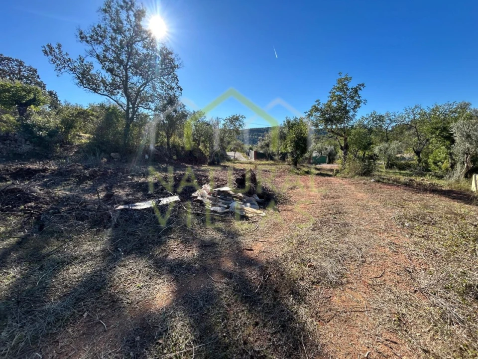 Terreno Agricola ou Rústico para Venda em Querença, Tôr e Benafim Foto 1