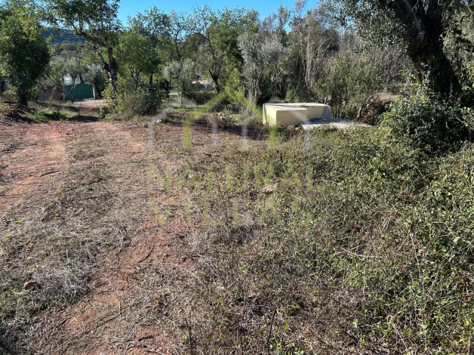 Terreno Agricola ou Rústico para Venda em Querença, Tôr e Benafim Foto 2