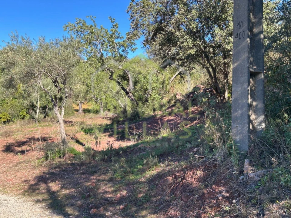 Terreno Agricola ou Rústico para Venda em Querença, Tôr e Benafim Foto 7