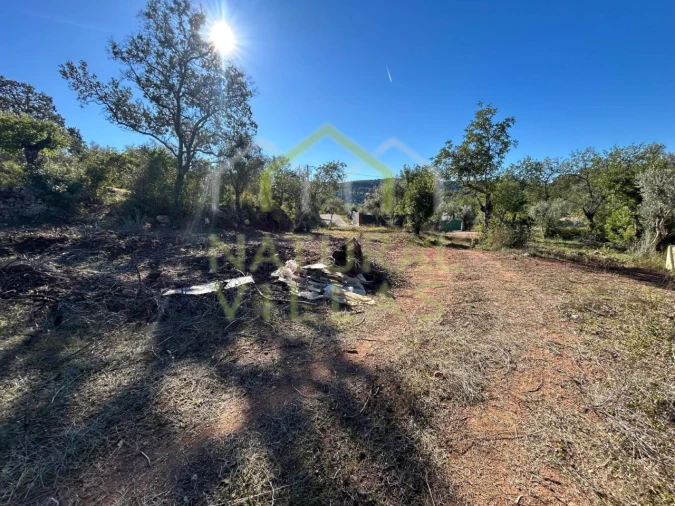 Terreno Agricola ou Rústico para Venda em Querença, Tôr e Benafim