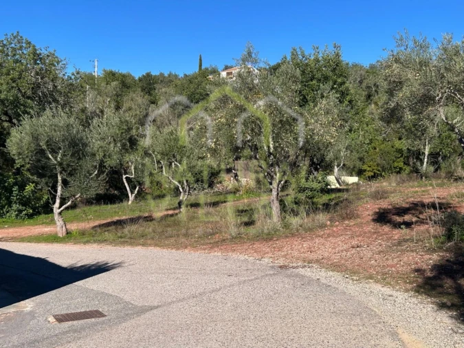 Terreno Agricola ou Rústico para Venda em Querença, Tôr e Benafim Foto 6