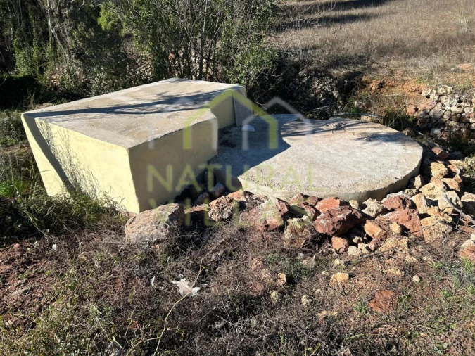 Terreno Agricola ou Rústico para Venda em Querença, Tôr e Benafim Foto 3