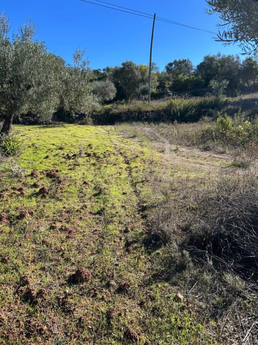 Terreno Agricola ou Rústico para Venda em Loule (São Clemente) Foto 1