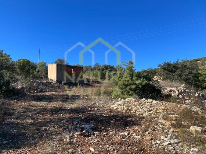Terreno Agricola ou Rústico para Venda em Loule (São Clemente) Foto 1