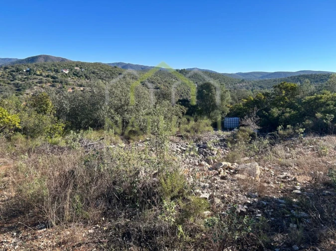 Terreno Agricola ou Rústico para Venda em Loule (São Clemente) Foto 2