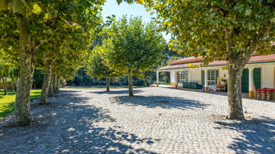 Quinta T6 para Venda em Nossa Senhora do Pranto Foto 60