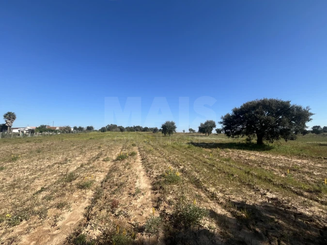 Terreno para Venda em Benavente Foto 7