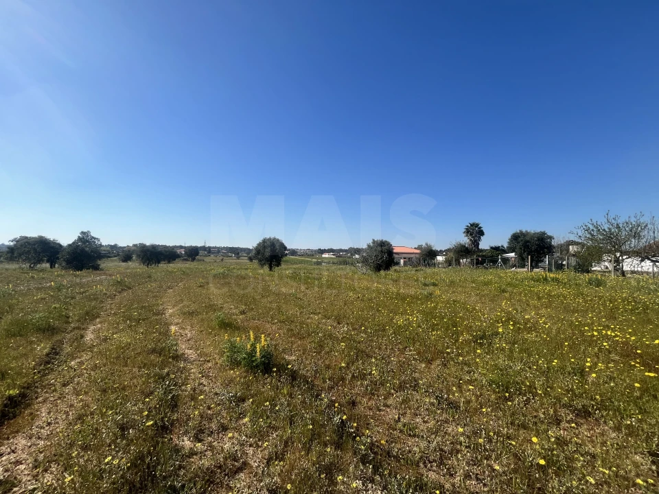 Terreno para Venda em Benavente Foto 5