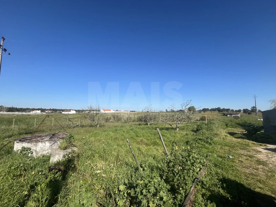 Terreno para Venda em Benavente Foto 3