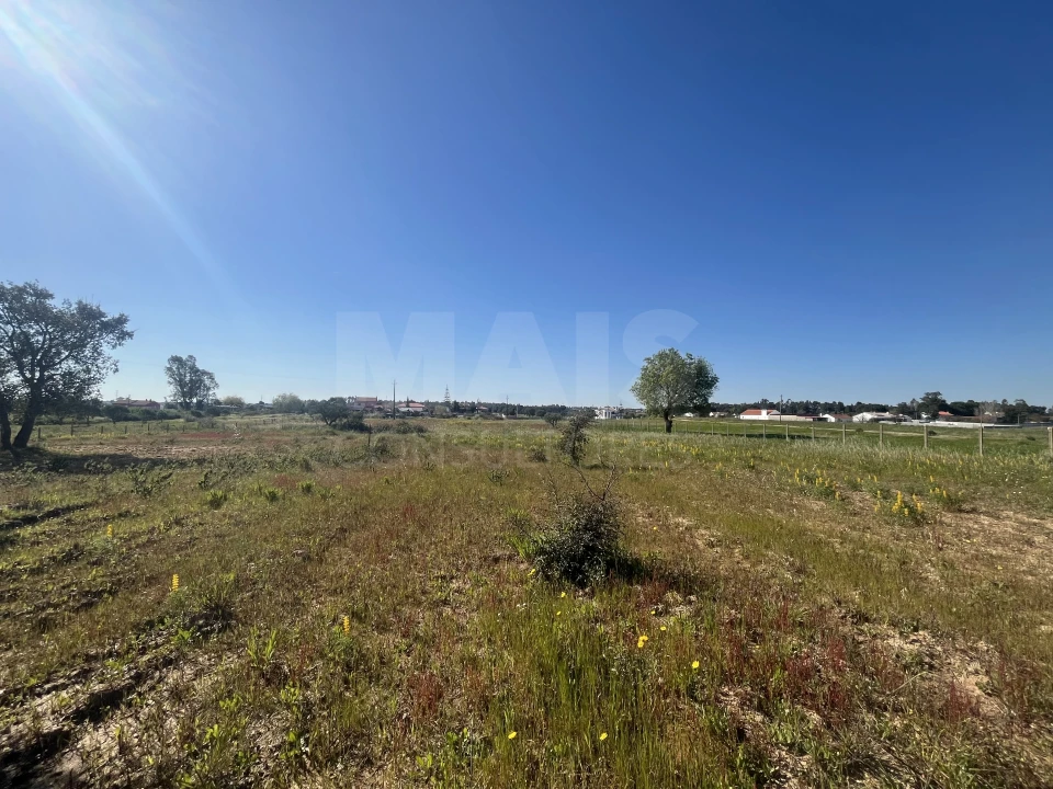 Terreno para Venda em Benavente Foto 6