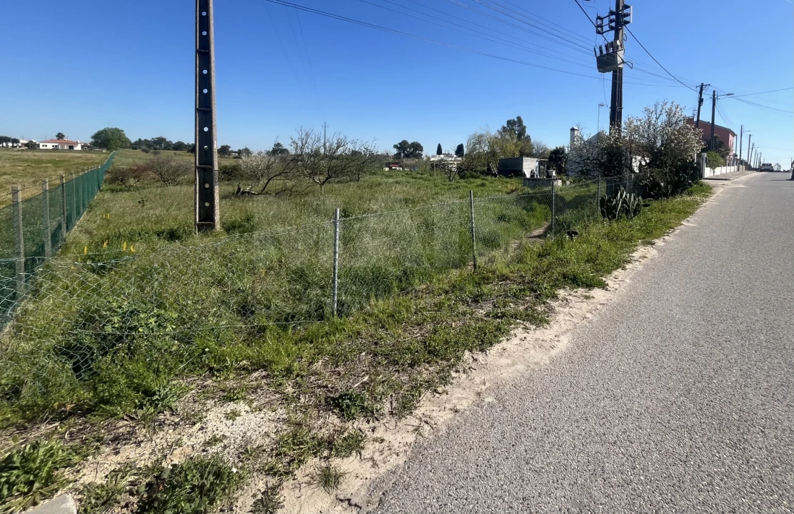 Terreno para Venda em Benavente Foto 9