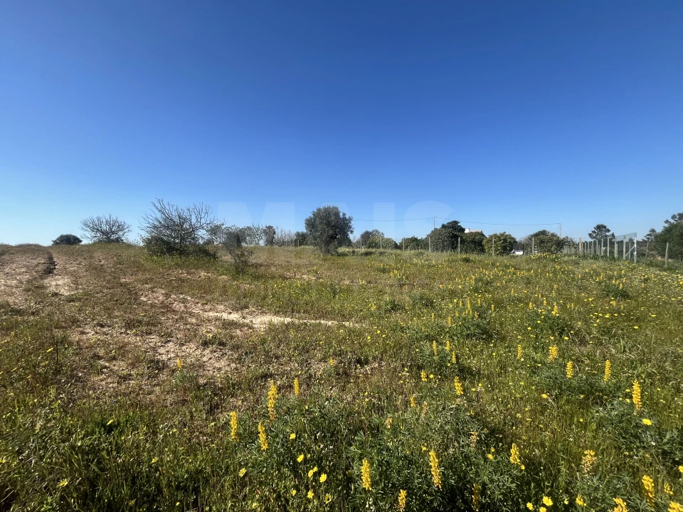 Terreno para Venda em Benavente Foto 4