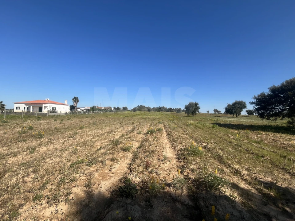 Terreno para Venda em Benavente Foto 8