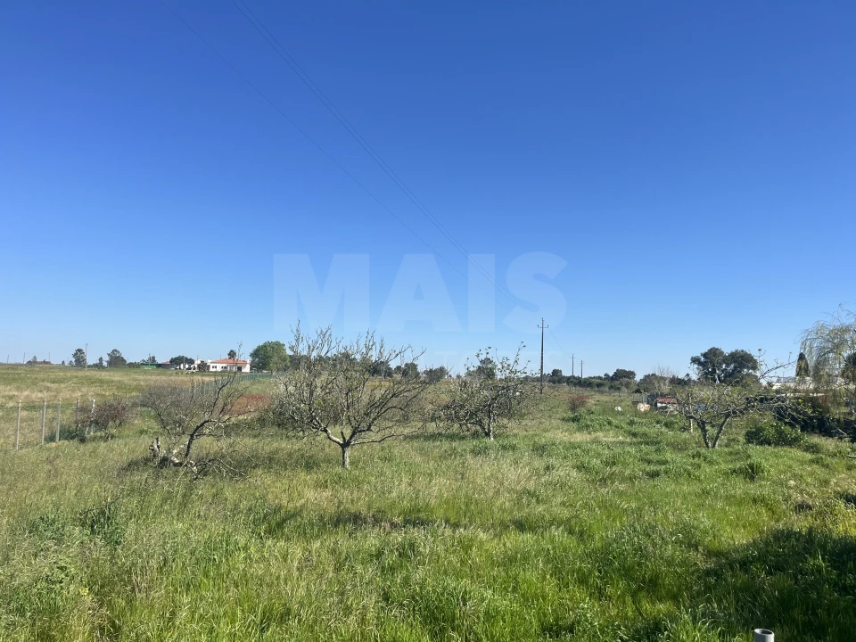 Terreno para Venda em Benavente Foto 2