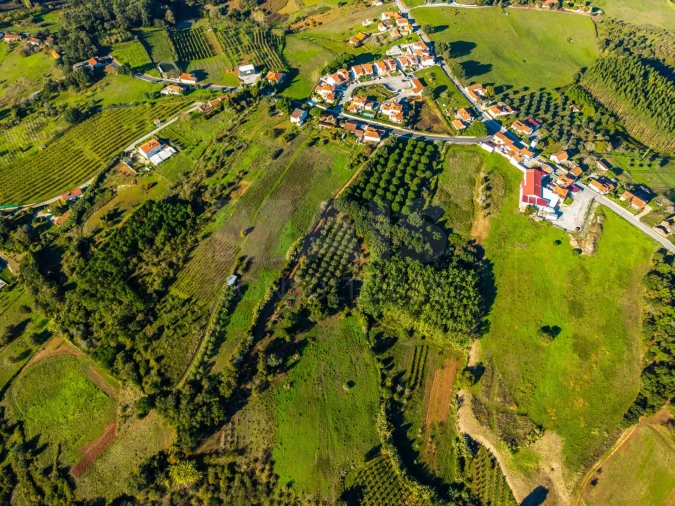 Terreno para Venda em Evora de Alcobaça Foto 5