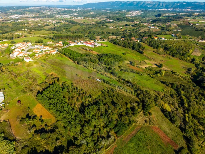 Terreno para Venda em Evora de Alcobaça Foto 8