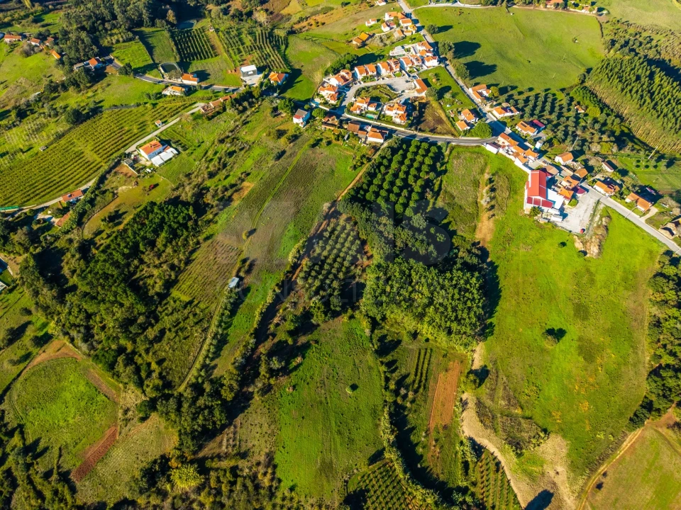 Terreno para Venda em Evora de Alcobaça Foto 5
