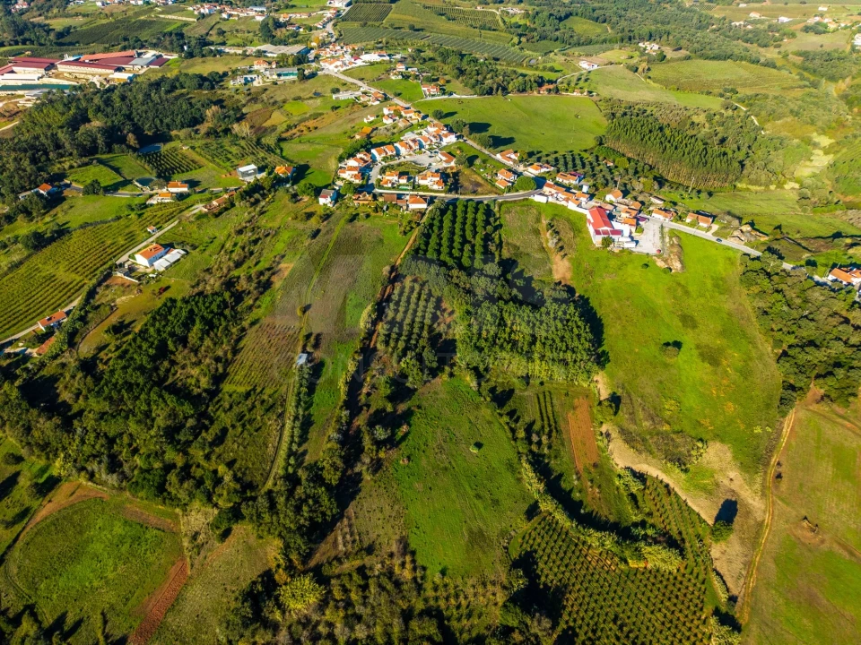 Terreno para Venda em Evora de Alcobaça Foto 6