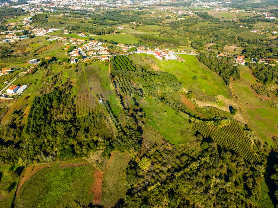 Terreno para Venda em Evora de Alcobaça Foto 7