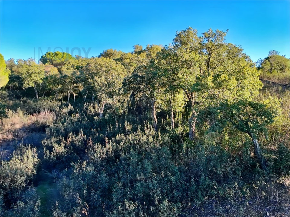 Quinta T1 para Venda em São Bartolomeu de Messines Foto 21