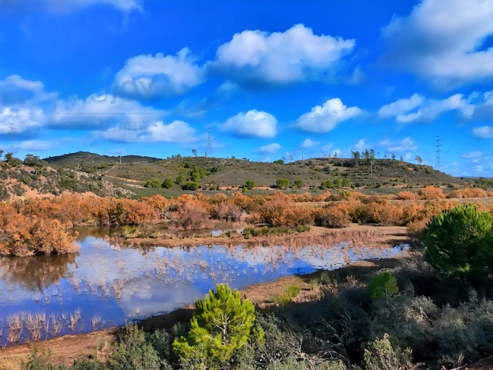 Quinta T1 para Venda em São Bartolomeu de Messines Foto 15