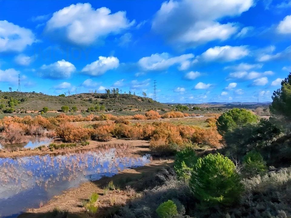 Quinta T1 para Venda em São Bartolomeu de Messines Foto 26