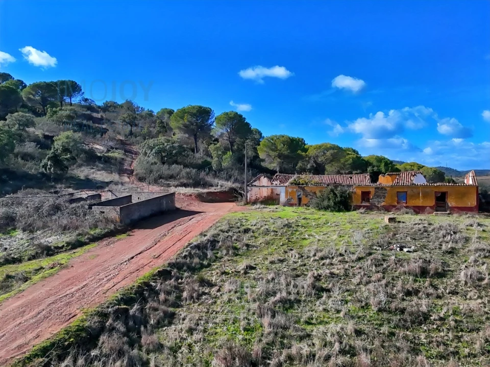Quinta T1 para Venda em São Bartolomeu de Messines Foto 29
