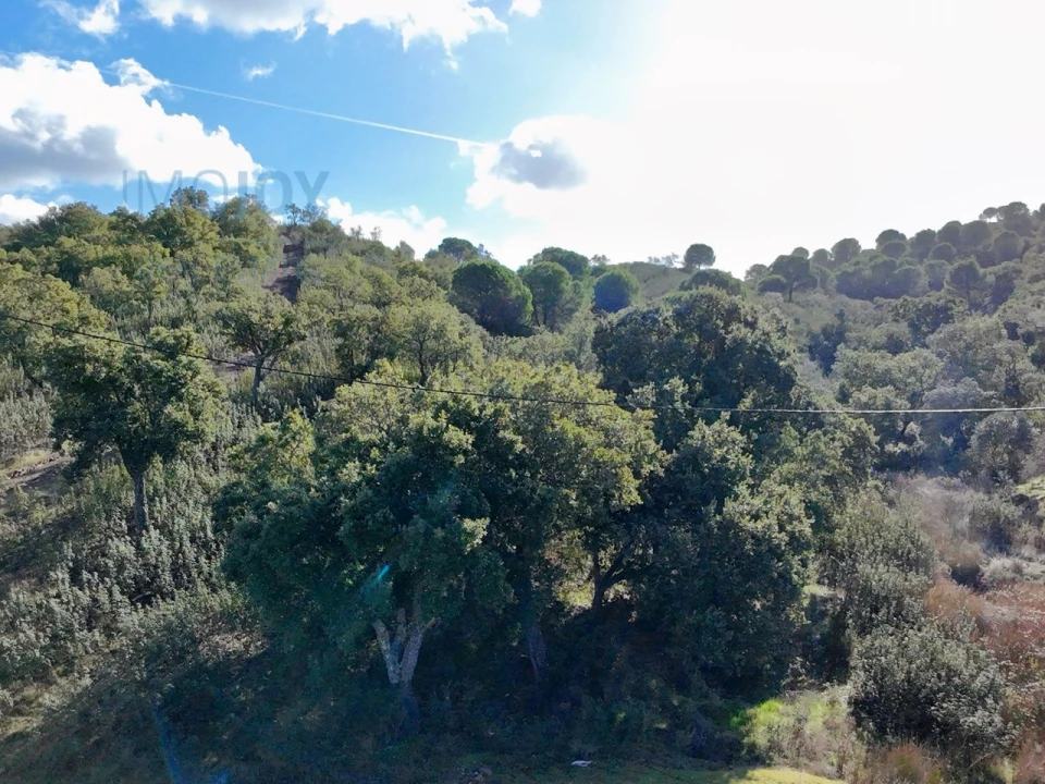 Quinta T1 para Venda em São Bartolomeu de Messines Foto 32
